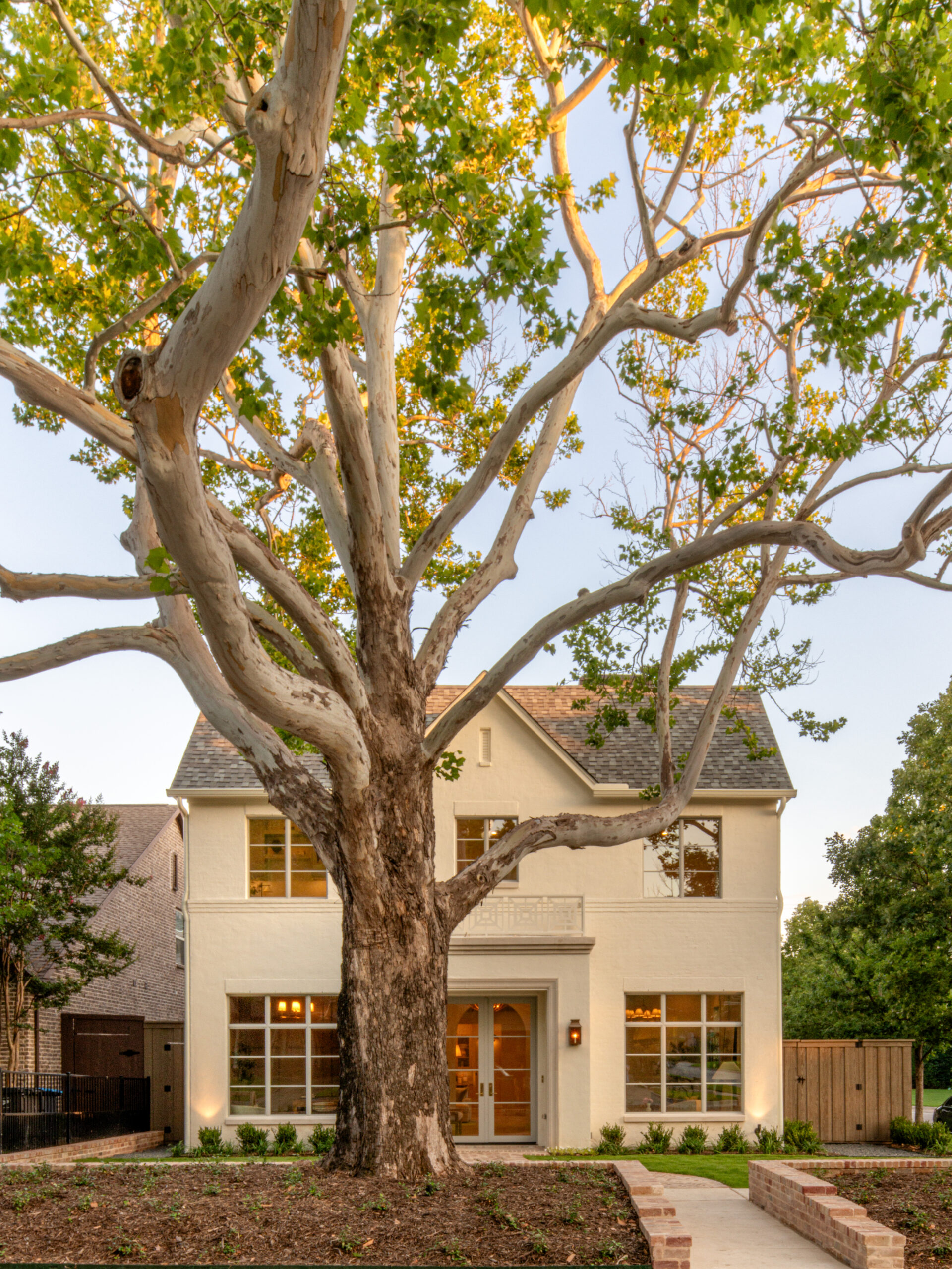 CLASSIC EUROPEAN REVIVAL – Chamberlain Arlington Heights, Lafayette Ave, Fort Worth, TX 76107-44 Painted brick European style home framed by a mature sycamore at dusk — Blue Cypress Design Build, Fort Worth TX